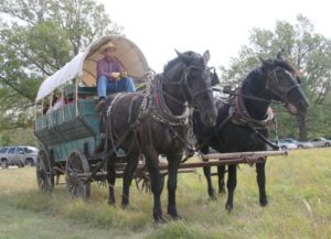 Horse drawn wagon